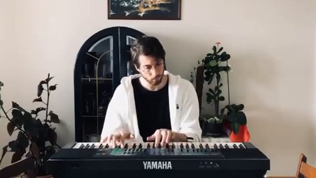 Утку Атеш играет на синтезаторе смотреть онлайн