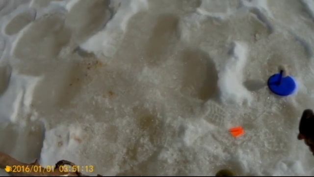 Рыбалка на Ветлуге КД 43 №3 смотреть онлайн