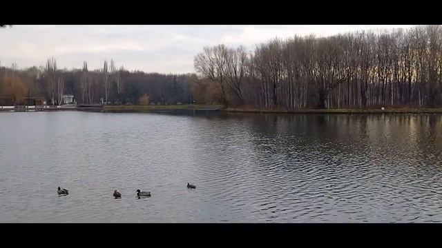 Измайловский парк. Самый красивый пруд в Москве . смотреть онлайн