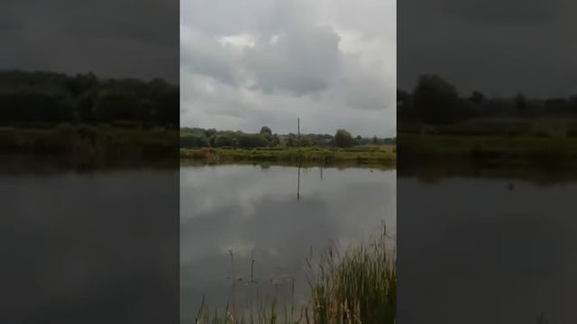 Отака рибалка) смотреть онлайн