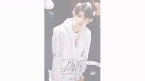 Stray Kids биография участников...