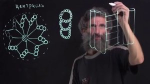 Цитология. Лекция 6. Центриоль. Окштейн И.Л.