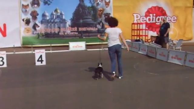 19-20.08.17 - САСIB - Великий Новгород смотреть онлайн