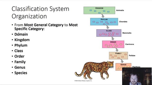 Taxonomy and Phylogenetics Lecture смотреть онлайн