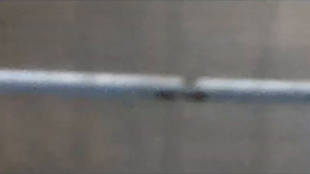 Карельский зоопарк!!! смотреть онлайн