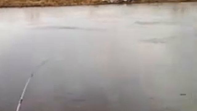 открытие рыбалки смотреть онлайн