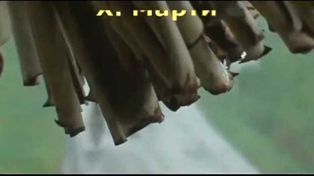 А что делаешь ТЫ для сохранения природы?! смотреть онлайн