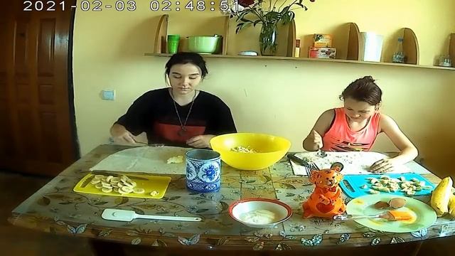 Домашние дела Ираида Кришталенко