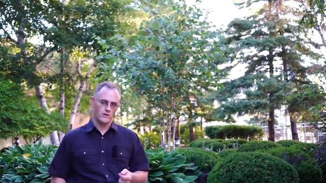 48. Как подтверждать гражданский брак при иммиграции в Канаду смотреть онлайн