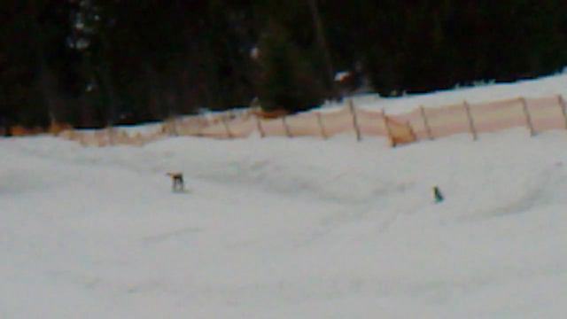 Skispringen am Bödele 3 смотреть онлайн