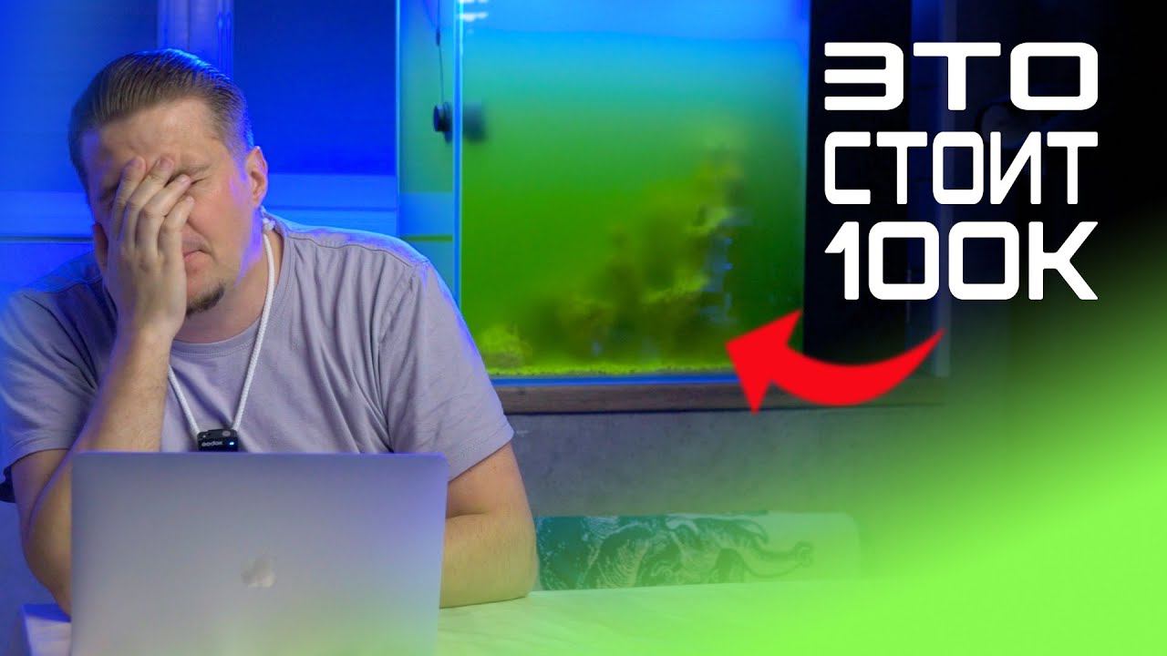 Сколько стоит мой аквариум ? смотреть онлайн