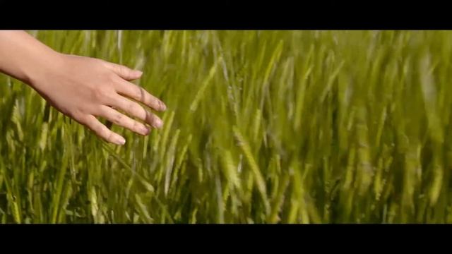 Bernardo da Vinci - Mediterranean Passport /FLAMENCO RUMBA LATIN CHILL GUITAR (WATCH IN 1080HD) смотреть онлайн