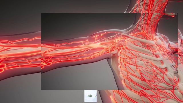 Укрепляем сосуды на долгие годы! Как укрепить сосуды без лекарств?Вот что на самом деле работает. смотреть онлайн