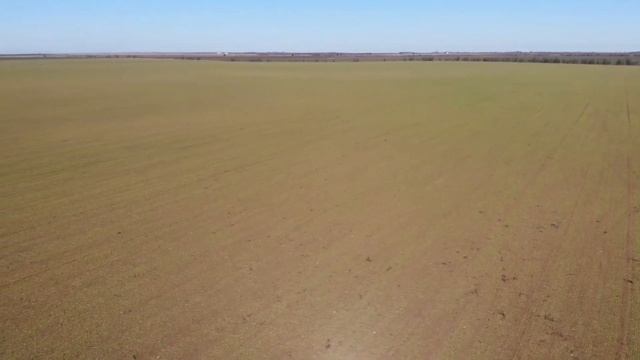 Обследование полей дроном смотреть онлайн