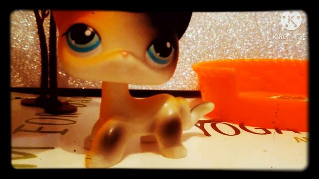 Все мои кошки lps (стоячки, новая колекция.) смотреть онлайн