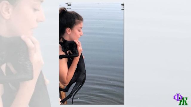 Девушка вытянула кота из реки и застыла в изумлении - к нему была привязана циркулярная пила! смотреть онлайн