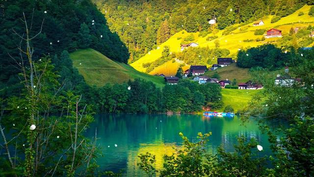 Эту музыку можно слушать вечно! Самая красивая мелодия на свете! Цветы красиво распускаются смотреть онлайн