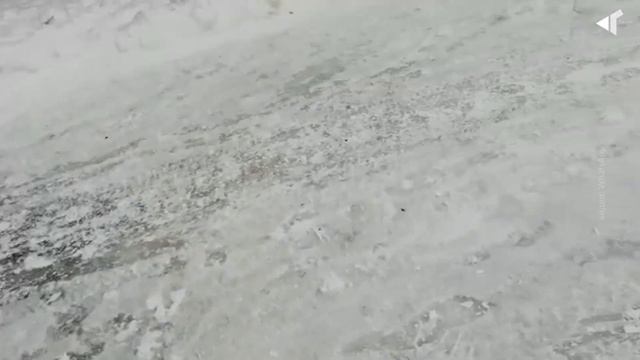 2004 ГЛАЗ НАРОДА: СНЕЖКОМ, А НЕ ПЕСКОМ смотреть онлайн