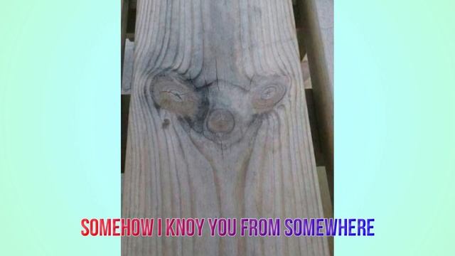 Pareidolia: Real Photos that will make you think смотреть онлайн