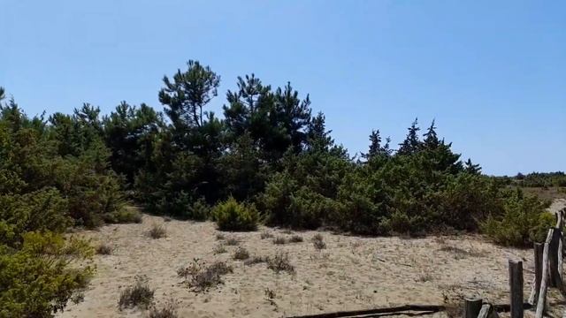 Marina di Vecchiano,Pisa Italy(Prima Parte) смотреть онлайн