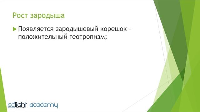 29. Рост и развитие. Часть 5