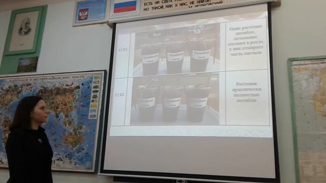 Б ЛОМОВИС ХЛОРОФИТУМ