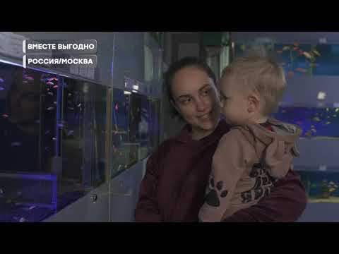 Выпуск программы "Вместе выгодно" (МИР-24). О рыбках в "Аква Лого - Сокол" смотреть онлайн