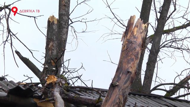 На дом упал тополь смотреть онлайн