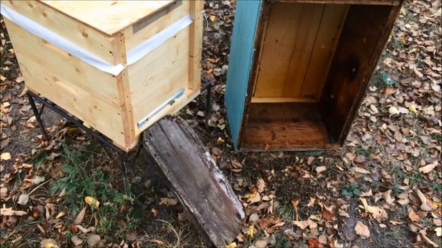 Рогатый улей/Паливоды. Пересаживаем пчел в новый улей. Олифа вместо краски смотреть онлайн