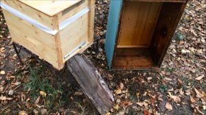 Рогатый улей/Паливоды. Пересаживаем пчел в новый улей. Олифа вместо краски