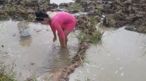 Красивая девушка рыбалка удивительная рыбалка в Камбодже, как поймать рыбу вручную Часть 5