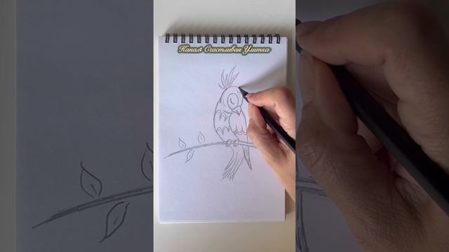 Рисунок карандашами для детей. Птица. Осень. смотреть онлайн