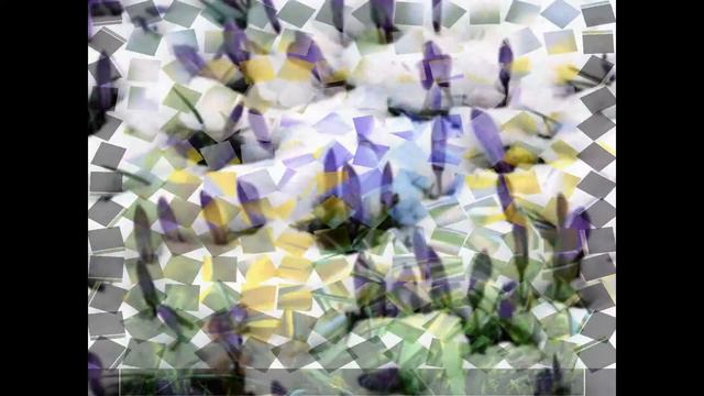 ПЕРВАЯ ВЕСНА смотреть онлайн