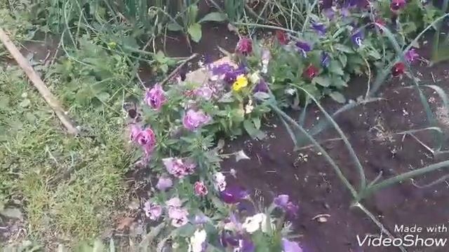 Таблетка для души. смотреть онлайн