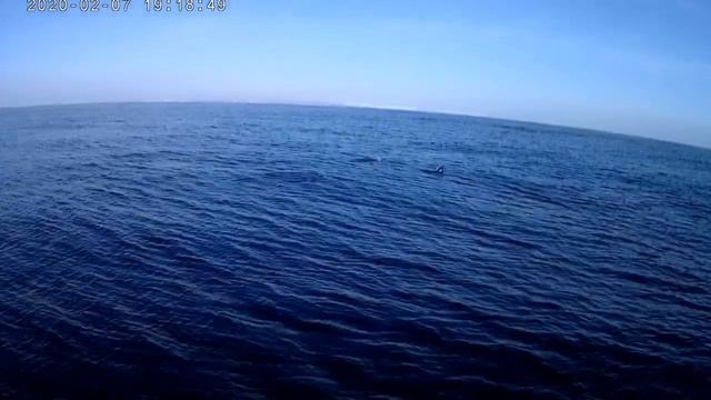 Антарктида-Морская часть пути от Тимофея. Экспедиция в Антарктиду. смотреть онлайн
