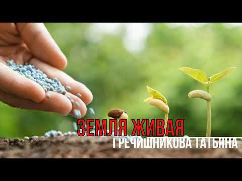 Земля Живая. Крик из глубины души. смотреть онлайн