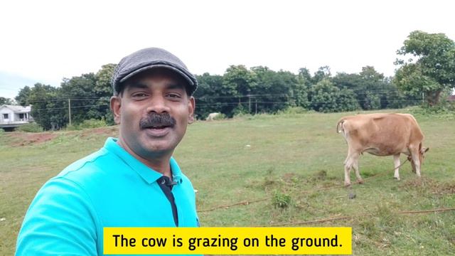 ...യാണോ?? | Video 5 | Learn ENGLISH from Nature | Present Continuous | Yes / No questions смотреть онлайн