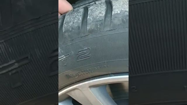 Все, последний раз... Не сдержался)) Кордиант Спорт 2.