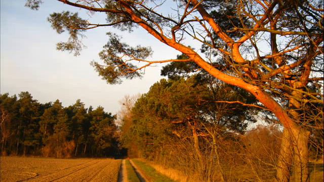 keyboard casio ctk-651 moja muzyka loop 10 смотреть онлайн