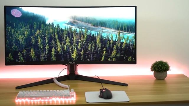 Asus Tuf Gaming VG34VQL1B 34” Curved Ultrawide Review смотреть онлайн