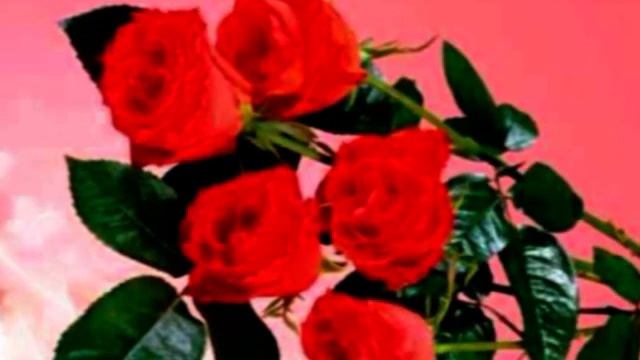 Мамочка, с Днём рождения! #открытка #анимация #видеооткрытки смотреть онлайн