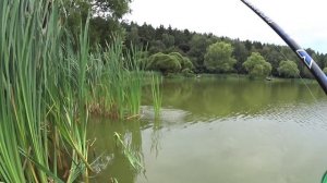 рыбалка на боковой кивок в помощь!!!2 августа