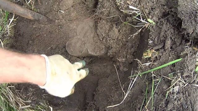 Получил хорошую сумму денег! Коп металла! смотреть онлайн