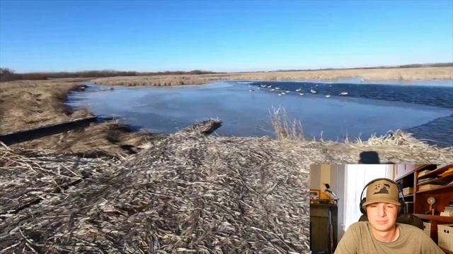 High Prairie Sportsman Cold Front Mallards | TFC Reaction #4 смотреть онлайн