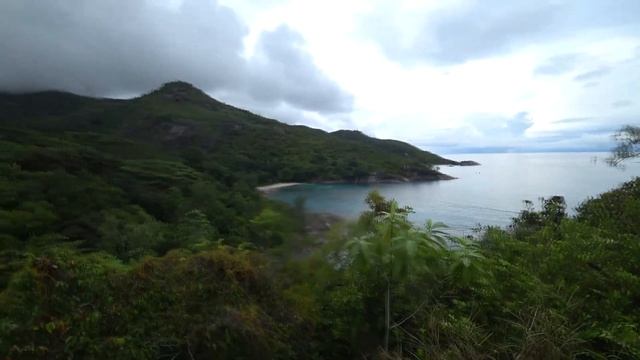 Кулинарный Путеводитель