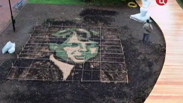 Книги в парках смотреть онлайн