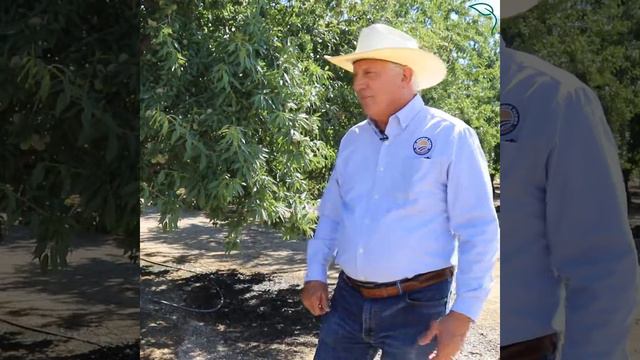 Joe Del Bosque on Irrigation and Wildlife смотреть онлайн