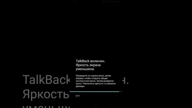Регистрация в Paypal незрячего, или Как я китайский скринридер собирался купить. смотреть онлайн