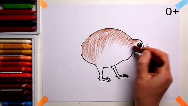 #КИВИ #какнарисовать  Уроки рисования для детей #howtodraw #KIWI #drawforchildren