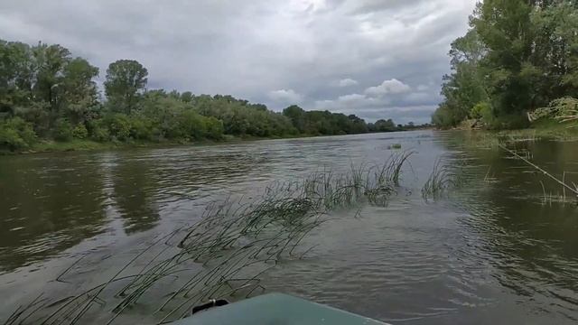 Голавль АТАКУЕТ ❌ Рыбалка в Башкирии смотреть онлайн